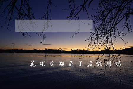 花呗逾期还了后能用吗