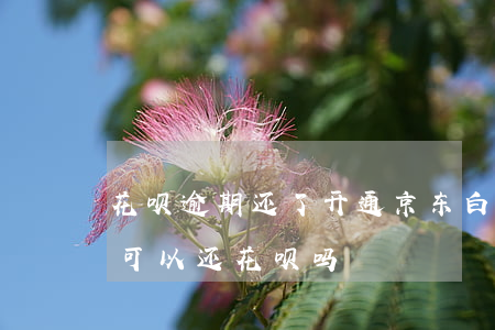 花呗逾期还了开通京东白条能用吗 京东白条可以还花呗吗?