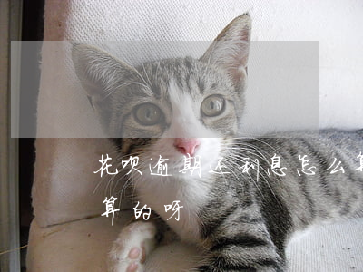 花呗逾期还利息怎么算的(借呗逾期利息怎么算的呀?)