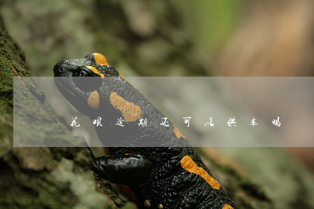 花呗逾期还可以供车吗