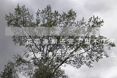 花呗逾期还完了用不了了(花呗逾期用不了,已经还清还是用不了,怎么恢复)