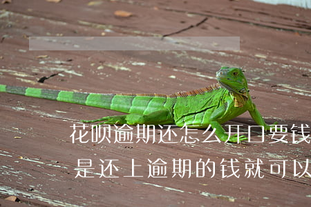 花呗逾期还怎么开口要钱(花呗逾期的话是不是还上逾期的钱就可以了)