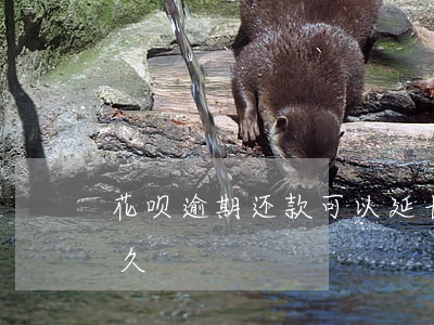 花呗逾期还款可以延长吗(花呗能延期还款多久)