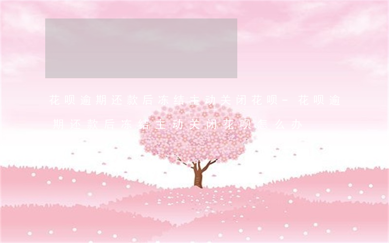 花呗逾期还款后冻结主动关闭花呗-花呗逾期还款后冻结主动关闭花呗怎么办