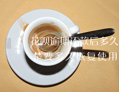 花呗逾期还款后多久清除(花呗逾期已经还清楚,要多久恢复使用)