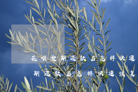 花呗逾期还款后怎样快速恢复使用-花呗逾期还款后怎样快速恢复使用额度
