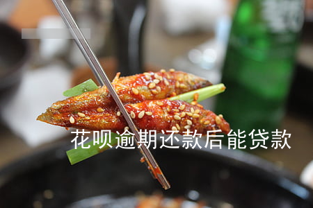 花呗逾期还款后能贷款