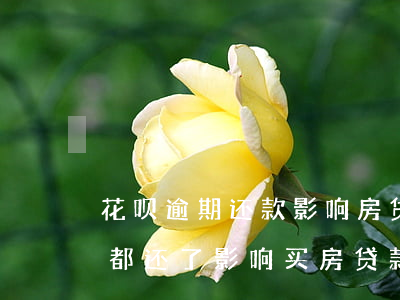 花呗逾期还款影响房贷吗(花呗有过逾期,但是都还了,影响买房贷款吗)