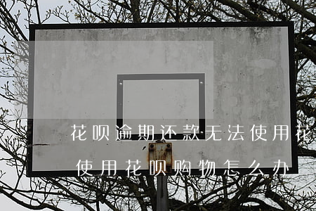 花呗逾期还款无法使用(花呗还款逾期后无法使用花呗购物怎么办)