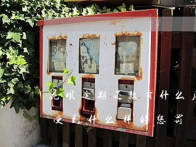 花呗逾期还款有什么后果(花呗逾期不还款会受到什么样的惩罚)