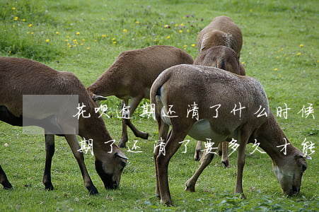 花呗逾期还清了什么时候可以开通-花呗逾期了还清了,要多久才能开通
