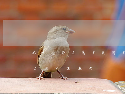 花呗逾期还清了关闭了还可以开通吗-如何二次开通花呗