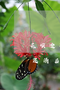花呗逾期还清后多久会消除记录-花呗逾期还清后多久会消除记录呢