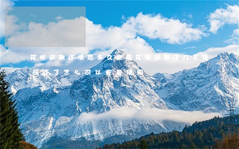 花呗逾期还清后多久恢复(花呗逾期了几天,现在还了,怎么可以恢复使用)