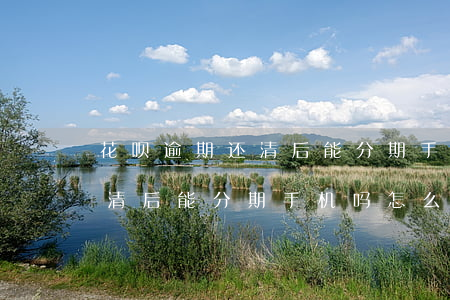 花呗逾期还清后能分期手机吗-花呗逾期还清后能分期手机吗怎么还