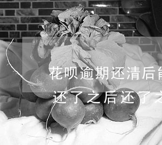 花呗逾期还清后能办信用卡吗 花呗逾期半年还了之后还了之后可以办信用卡吗