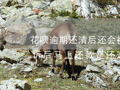 花呗逾期还清后还会被起诉吗(花呗欠款被起诉后马上还款是还逾期款吗)
