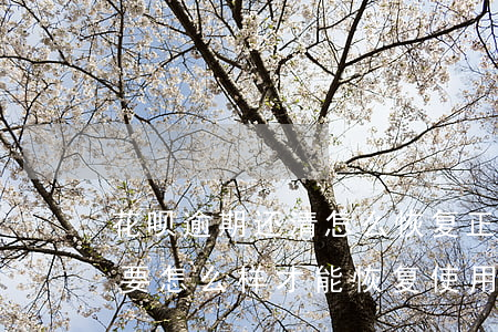 花呗逾期还清怎么恢复正常(花呗逾期还完了要怎么样才能恢复使用)