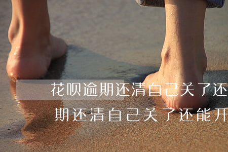 花呗逾期还清自己关了还能开通么-花呗逾期还清自己关了还能开通么吗