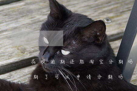 花呗逾期还能淘宝分期吗(支付宝蚂蚁花呗逾期了可以申请分期吗)
