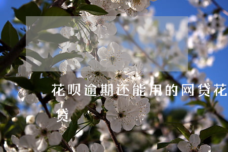 花呗逾期还能用的网贷(花呗逾期还能用的网贷)