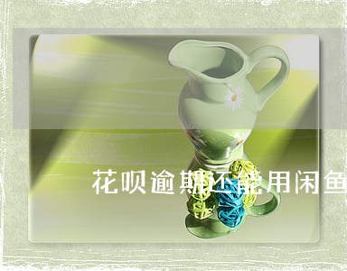 花呗逾期还能用闲鱼吗(闲鱼可以花呗付款么)