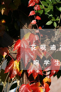 花呗逾期还能高校贷款吗(花呗逾期会不会影响学生申请助学贷款?)