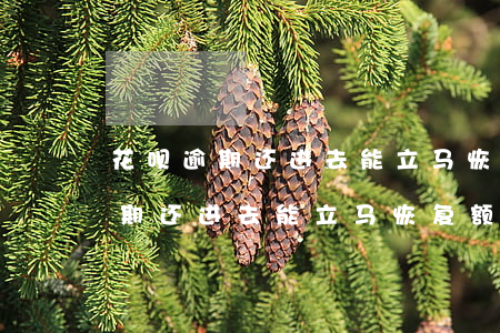 花呗逾期还进去能立马恢复额度嘛-花呗逾期还进去能立马恢复额度嘛