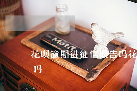花呗逾期进征信报告吗(花呗逾期进征信报告吗)