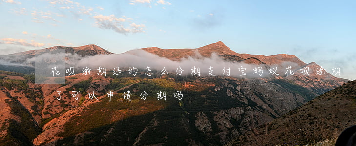 花呗逾期违约怎么分期(支付宝蚂蚁花呗逾期了可以申请分期吗)