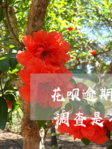 花呗逾期通知镇上村里(花呗逾期说要到村委调查是不是就要立案)