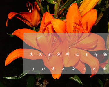 花呗逾期释放全部额度(花呗 逾期了然后还清了额度还会上升吗)