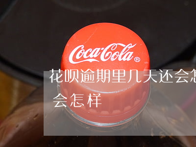 花呗逾期里几天还会怎样(花呗逾期里几天还会怎样)