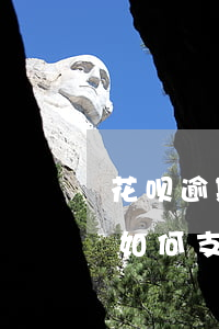 花呗逾期重新申请支付宝(花呗逾期了淘宝还如何支付)