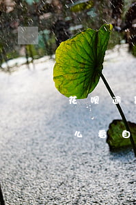 花呗逾期金额从哪里看(花呗说有产品逾期怎么看自己哪些产品逾期了)
