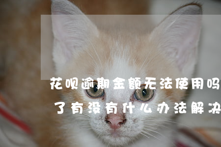 花呗逾期金额无法使用吗(花呗逾期不可使用了有没有什么办法解决)