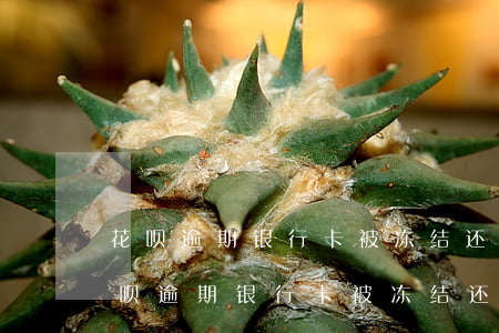 花呗逾期银行卡被冻结还钱后多久解冻-花呗逾期银行卡被冻结还钱后多久解冻啊