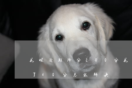 花呗逾期降分200分(花呗逾期信用分下降了40分怎么解决)