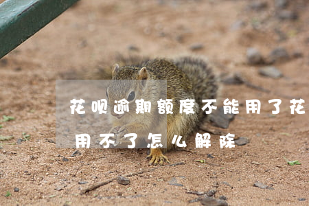 花呗逾期额度不能用了(花呗逾期有额度但是用不了,怎么解除)