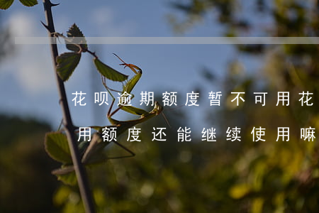 花呗逾期额度暂不可用(花呗逾期了但是有可用额度还能继续使用嘛)