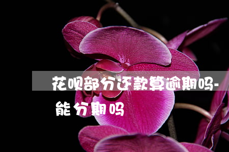 花呗部分还款算逾期吗-花呗部分还款后还能分期吗