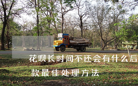 花呗长时间不还会有什么后果-逾期无力还款最佳处理方法