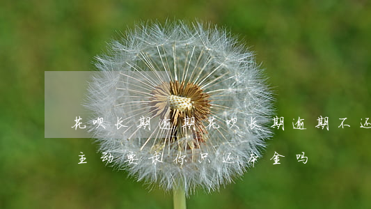 花呗长期逾期(花呗长期逾期不还公司会主动主动要求你只还本金吗)