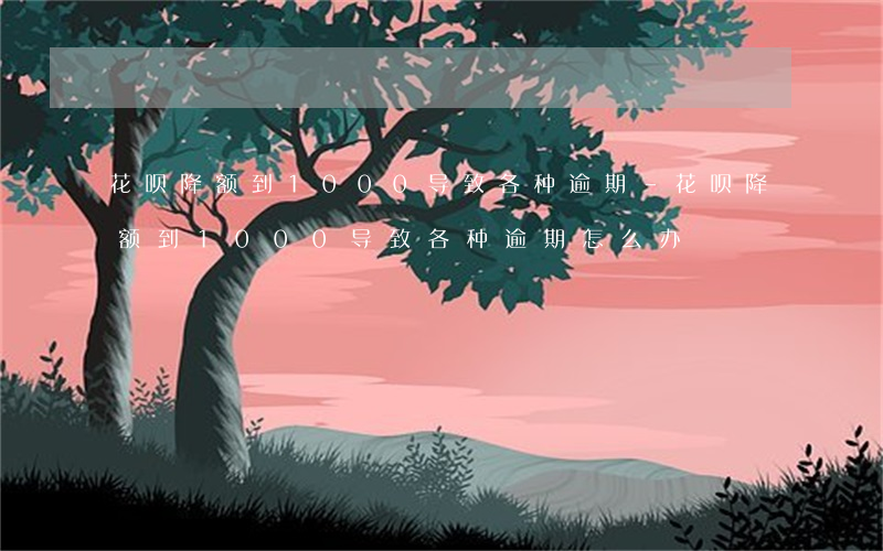 花呗降额到1000导致各种逾期-花呗降额到1000导致各种逾期怎么办