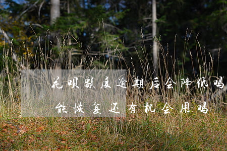 花呗额度逾期后会降低吗(花呗逾期降额多久能恢复还有机会用吗)