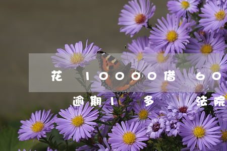 花唄10000借唄6000逾期-花唄,借唄逾期1萬多塊錢法院會受理嗎