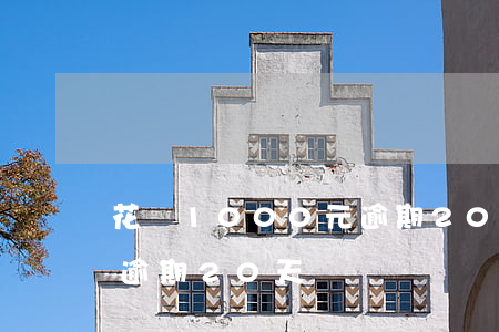 花唄1000元逾期20天(花唄1000元逾期20天)