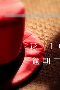 花唄1000四年逾期(欠了花唄1000塊逾期三年怎么到1800)