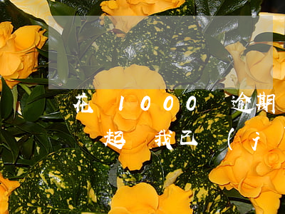 花唄1000塊逾期還款(花唄逾期多少金額會起訴,我已經(jīng)還了2000多)