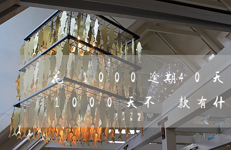 花唄1000逾期40天還多少-花唄逾期1000天不還款有什么后果_